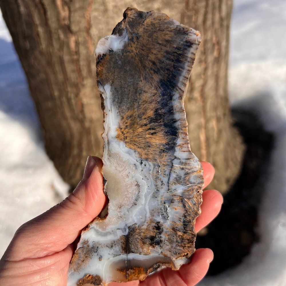 Graveyard (2) point plume agate slab with stand | crystal
